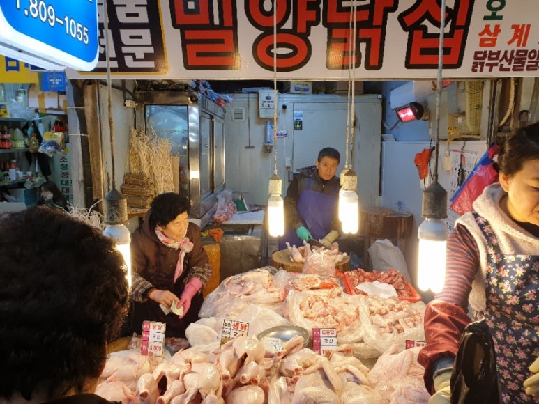 부전생닭 이미지