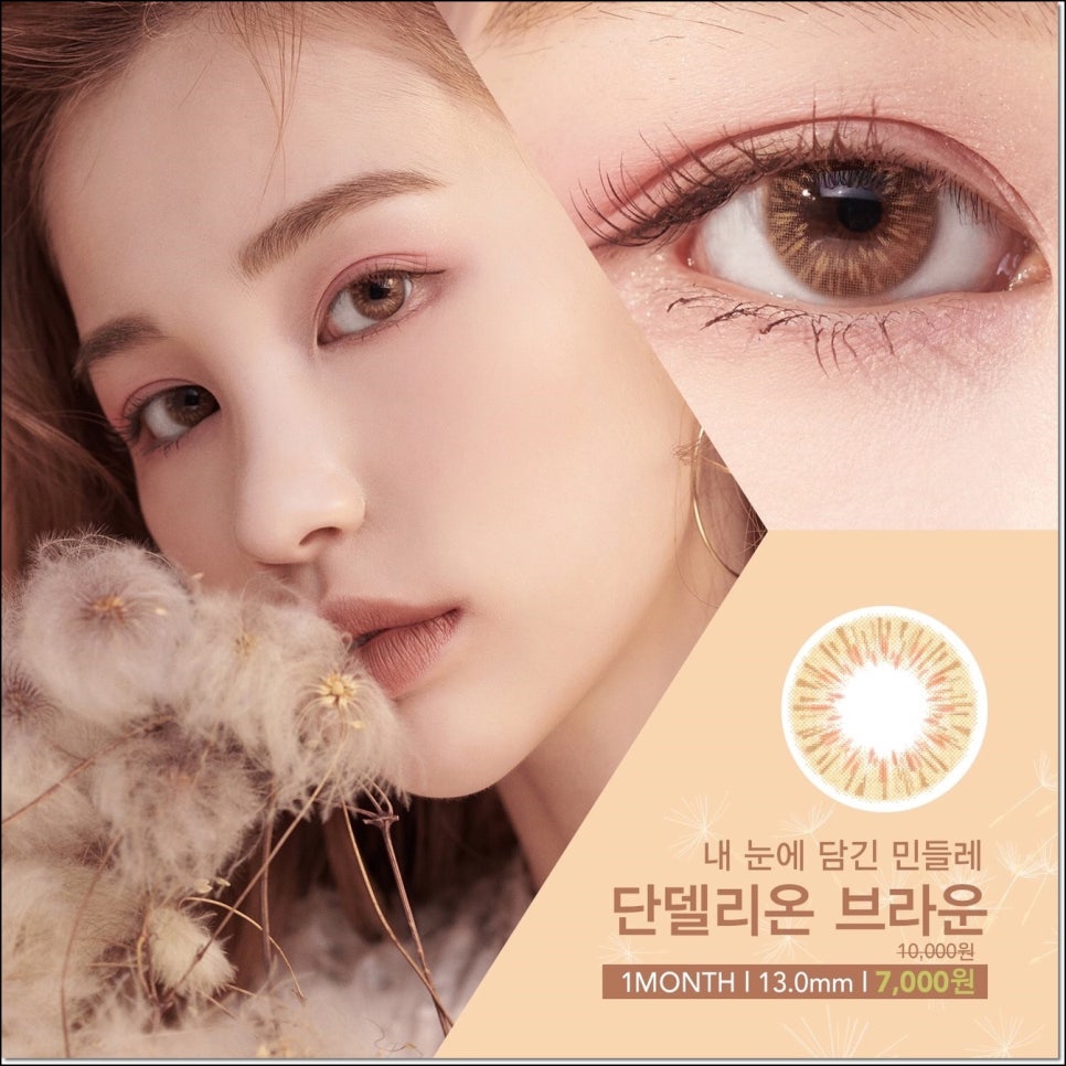 단델리온 이미지