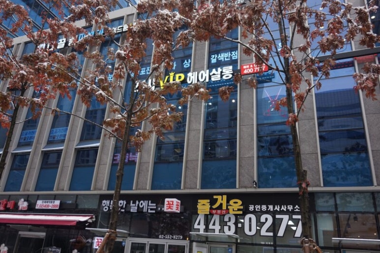 브이아이피살롱 이미지