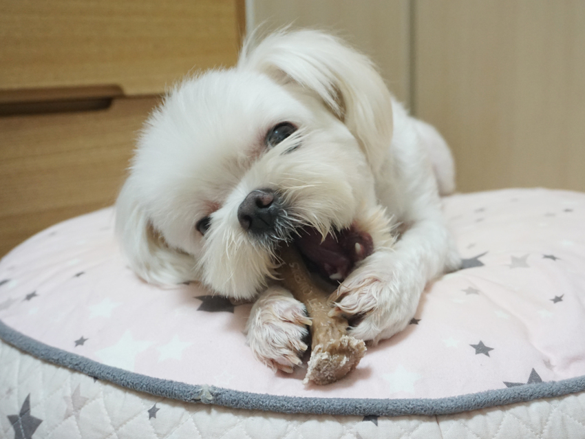 오물오물 이미지