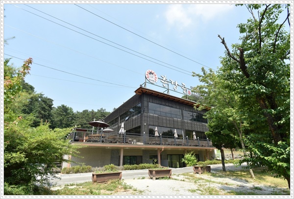 마치숲 이미지