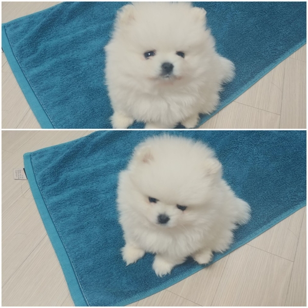미추홀복싱클럽 이미지