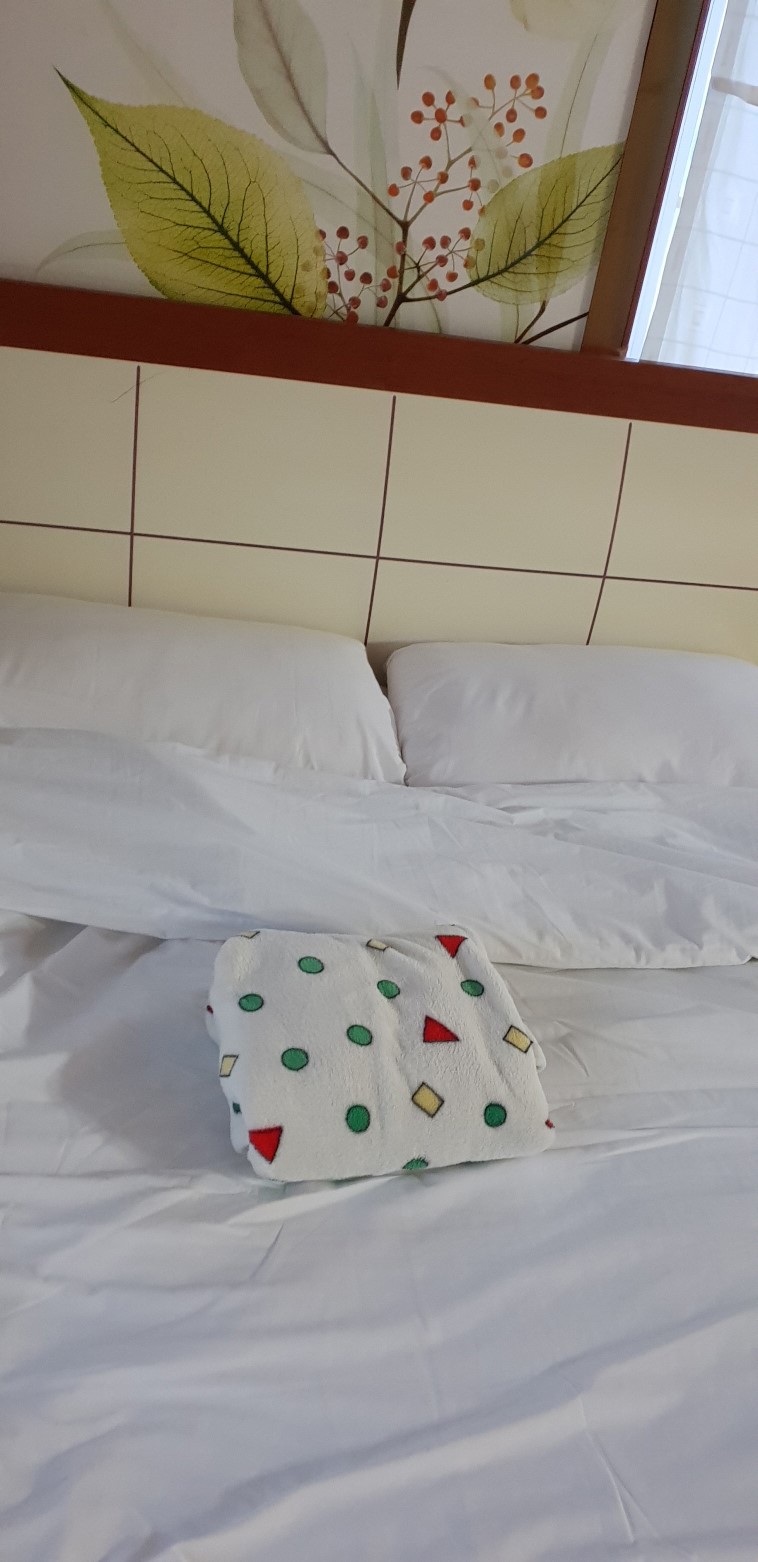 뜨레피아 이미지