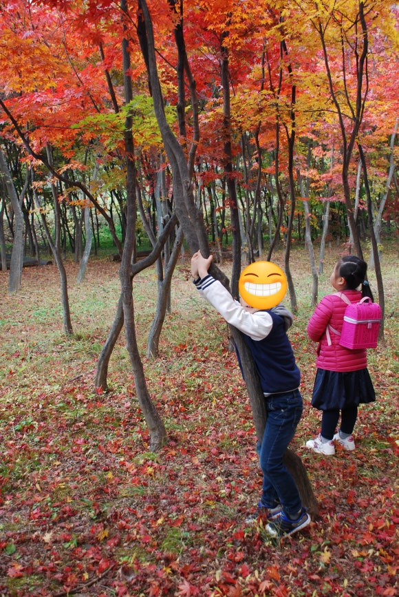 파주자연숲학교 이미지
