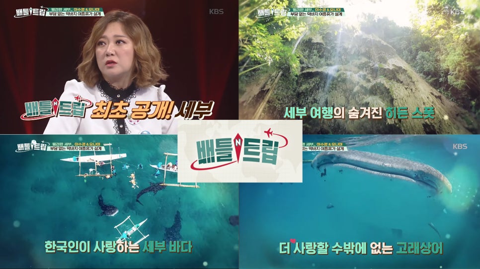 투어투게더여행사 이미지