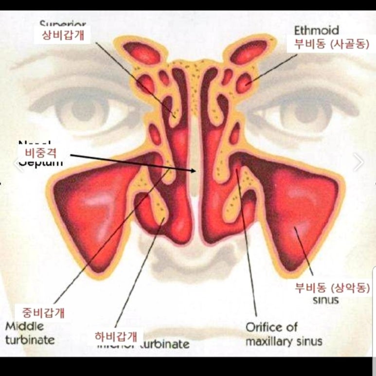 이강한의원 이미지