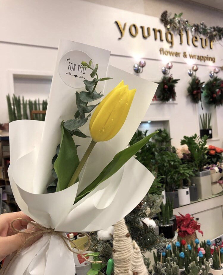 영플레르 이미지