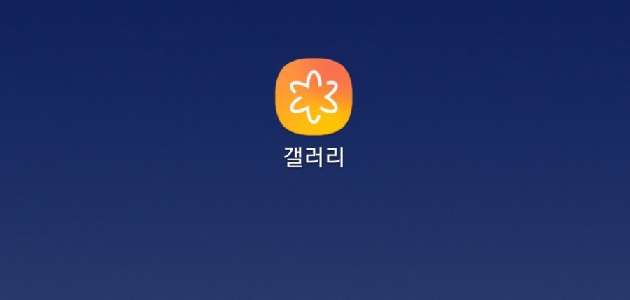 단 갤러리 이미지