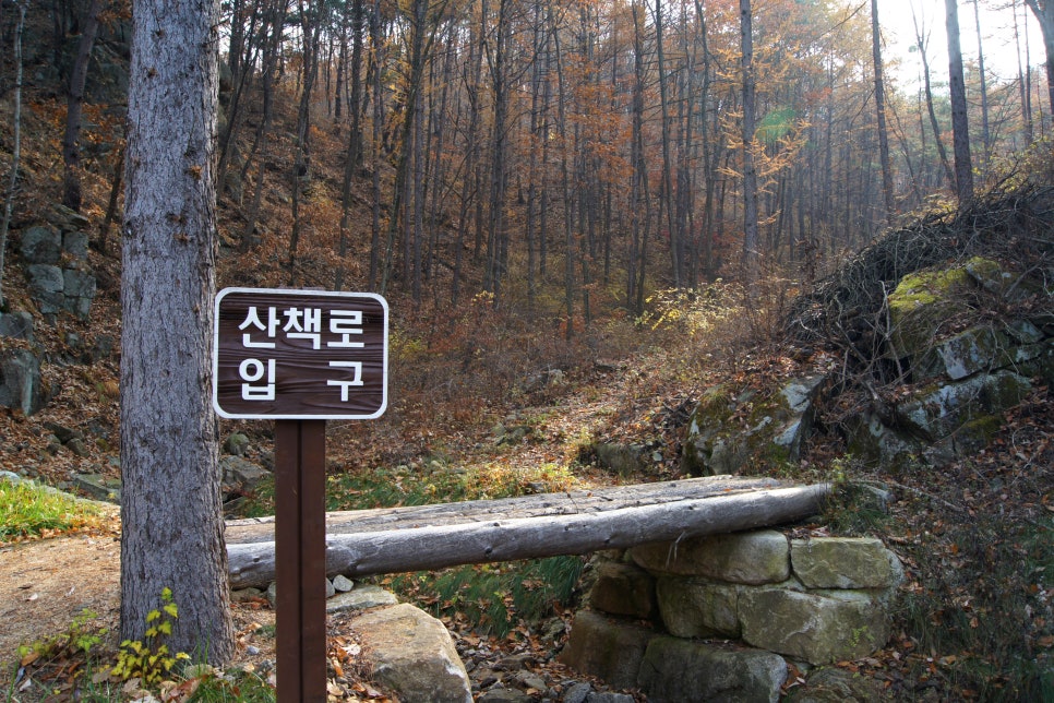 하늘숲 야영장 이미지
