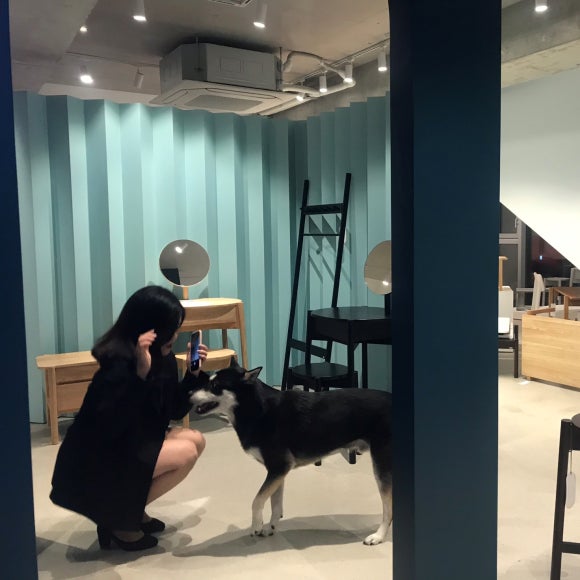 매직볼트 이미지