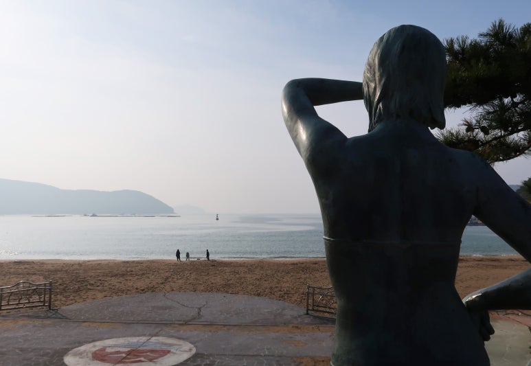 외도펠리스 이미지