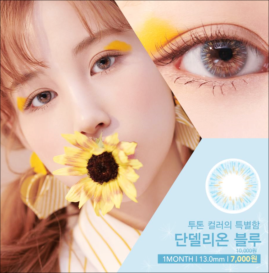 단델리온 이미지