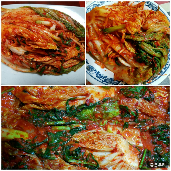 길쭉납짝 이미지