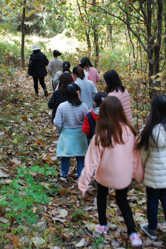 파주자연숲학교 이미지