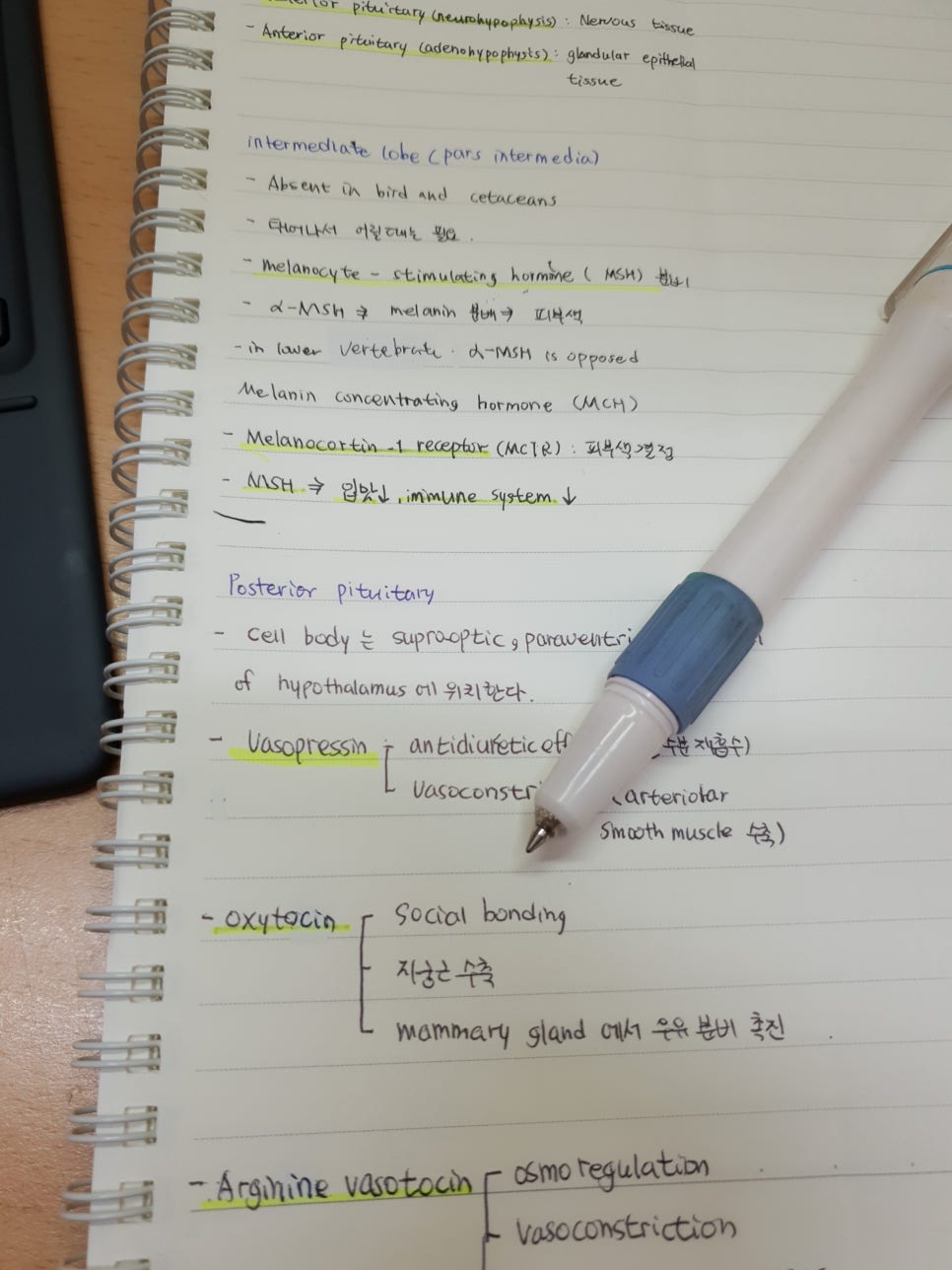 동아리야식 이미지