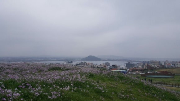 하루반찬 이미지