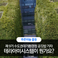 테라아미 이미지