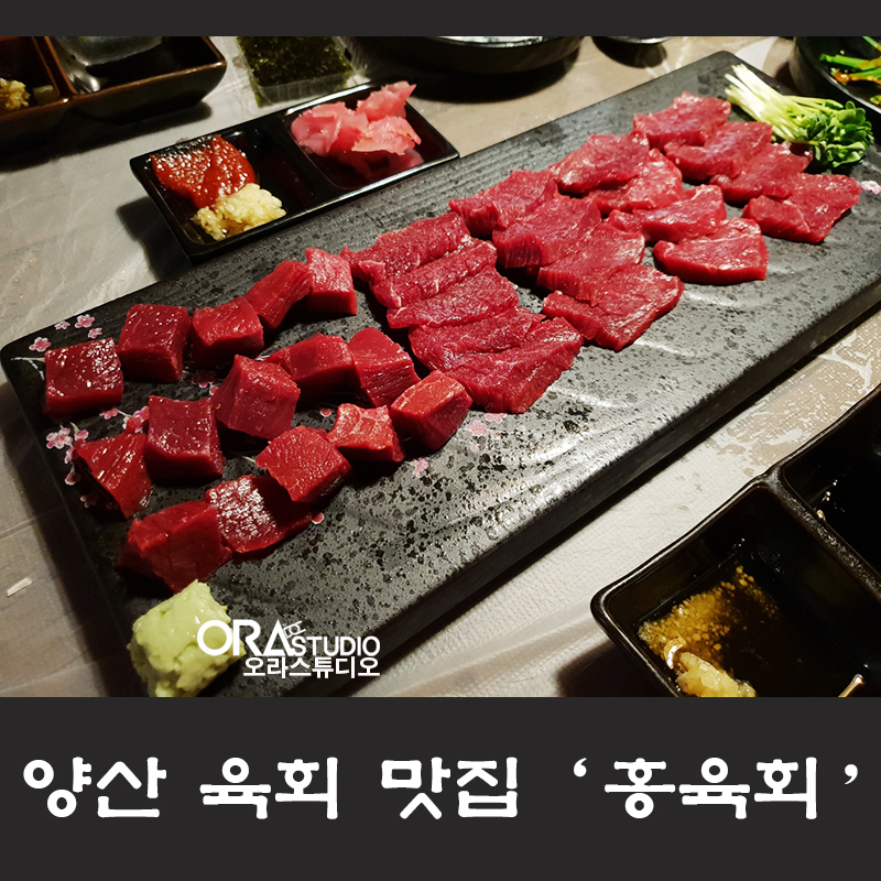 홍육회 이미지