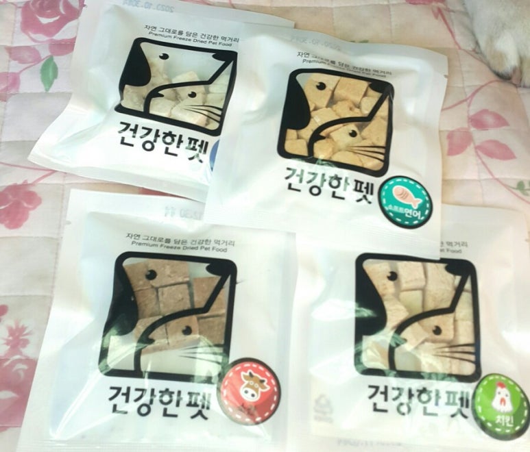 건강한펫 이미지