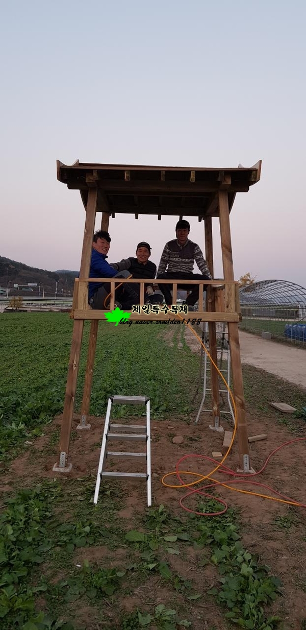 정자 포토존 이미지