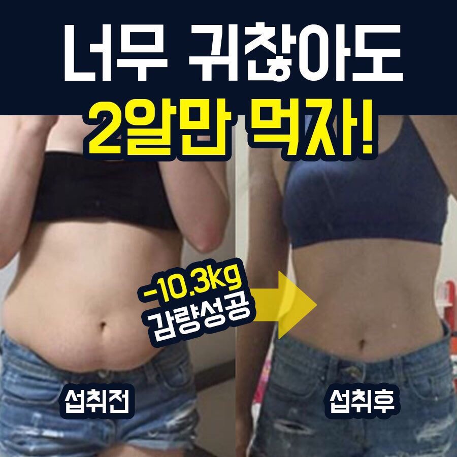 뉴바디 이미지
