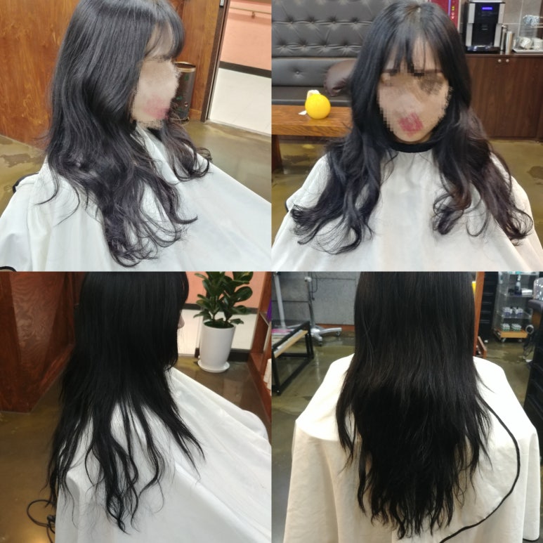 라엘헤어 이미지