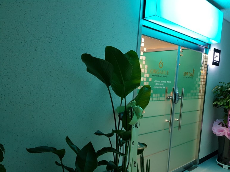 브랜드샵&천연 이미지