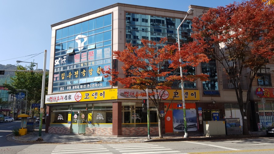 엘림정보통신 이미지
