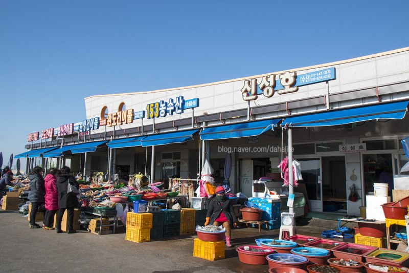 영광젓갈 이미지