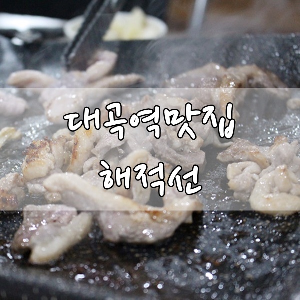 해적선생오리 이미지