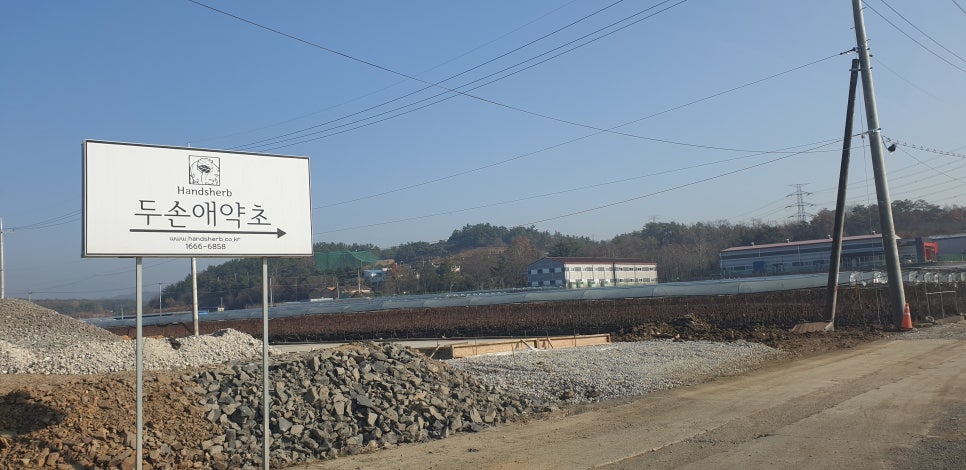 농업회사법인(주)두손애약초 이미지