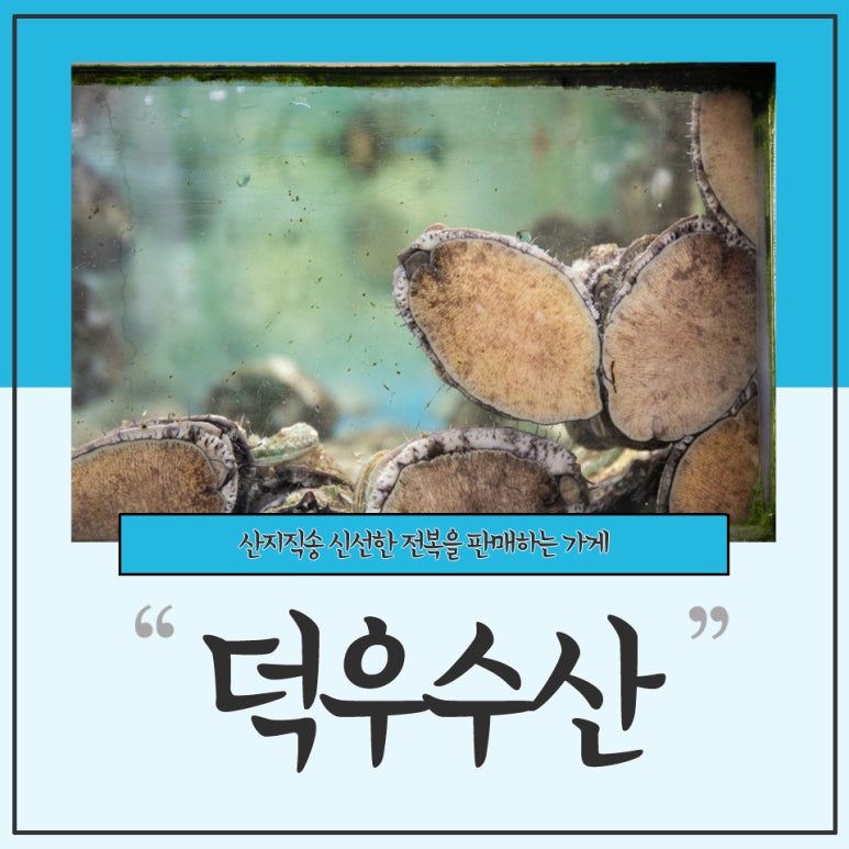 덕우수산 이미지