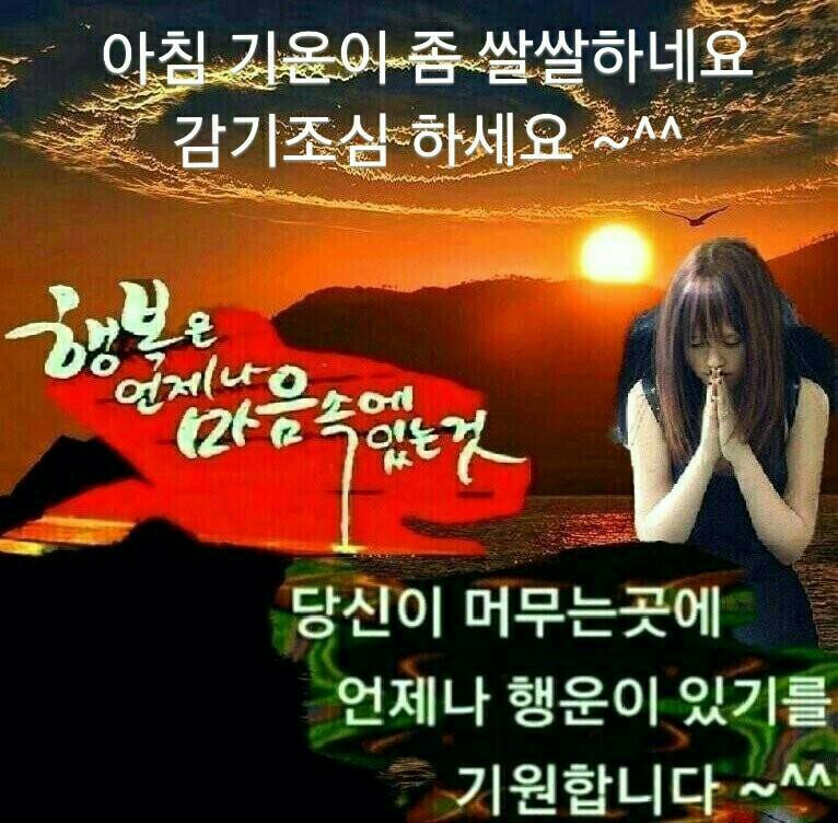 세기냉열 이미지