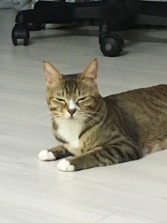 진이옷수선 이미지