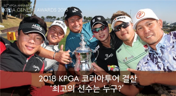 (주)핑투어 이미지