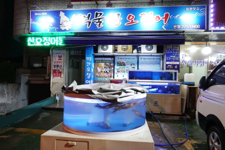 먹물산오징어 이미지