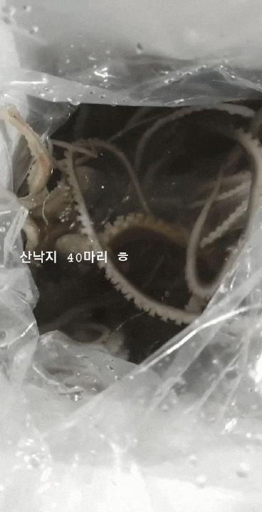 오빠네농수산물 이미지