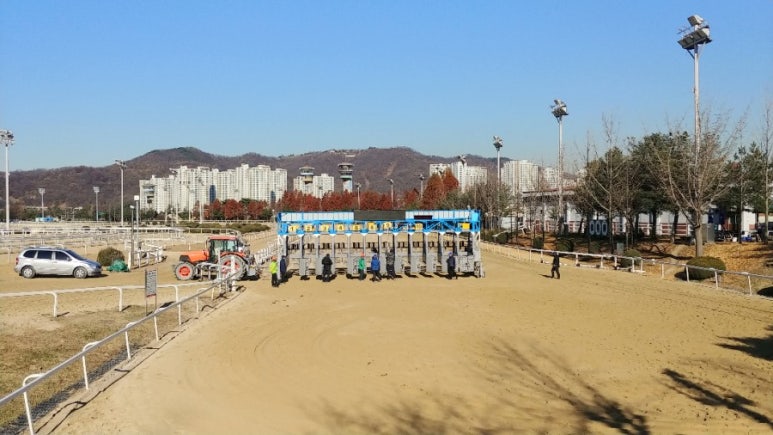 블루메마리 이미지