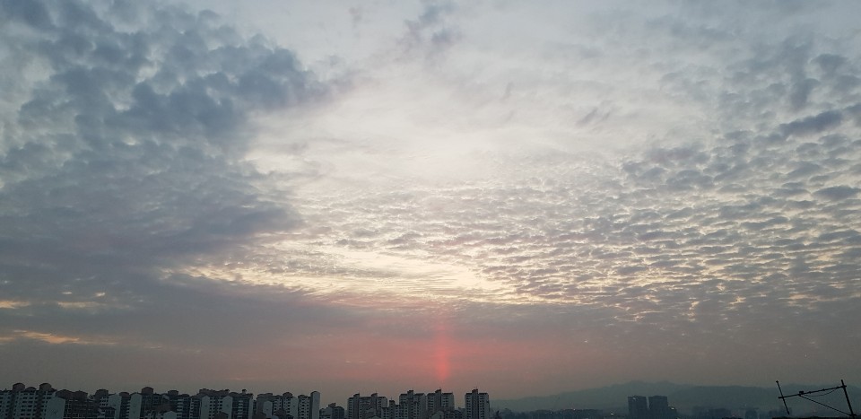 오케이유통 이미지