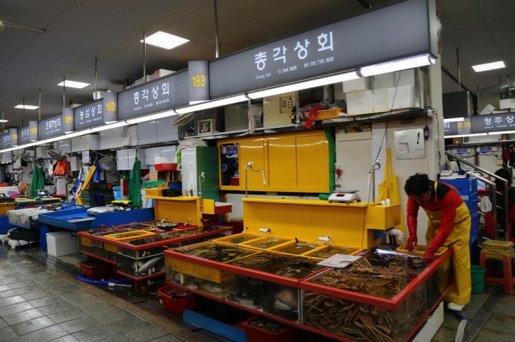 자갈치총각 이미지