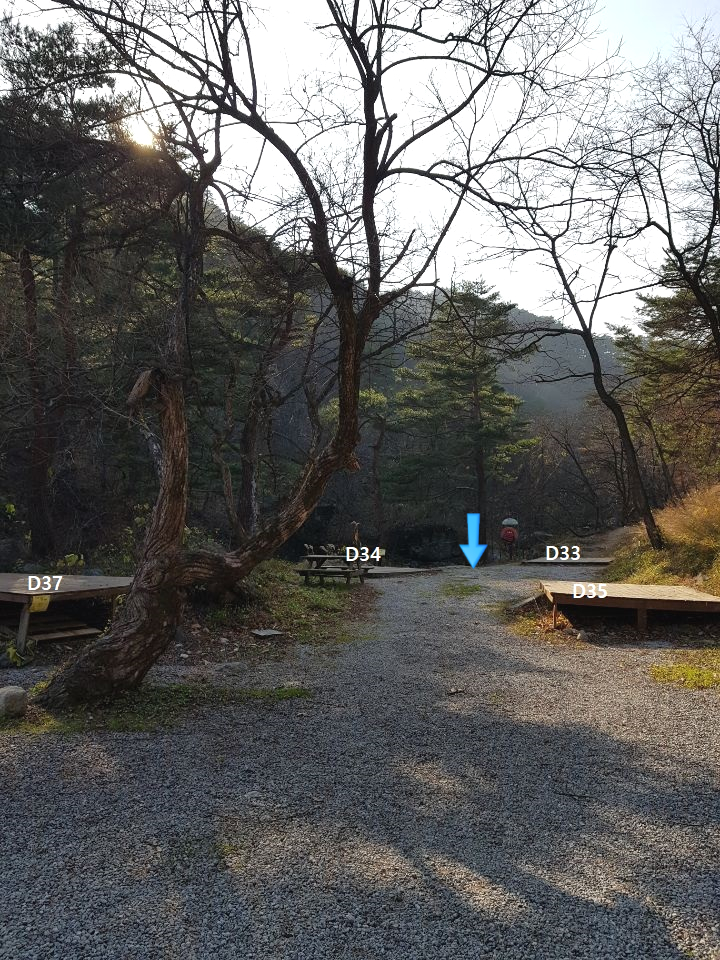 솔내음 캠핑장 이미지