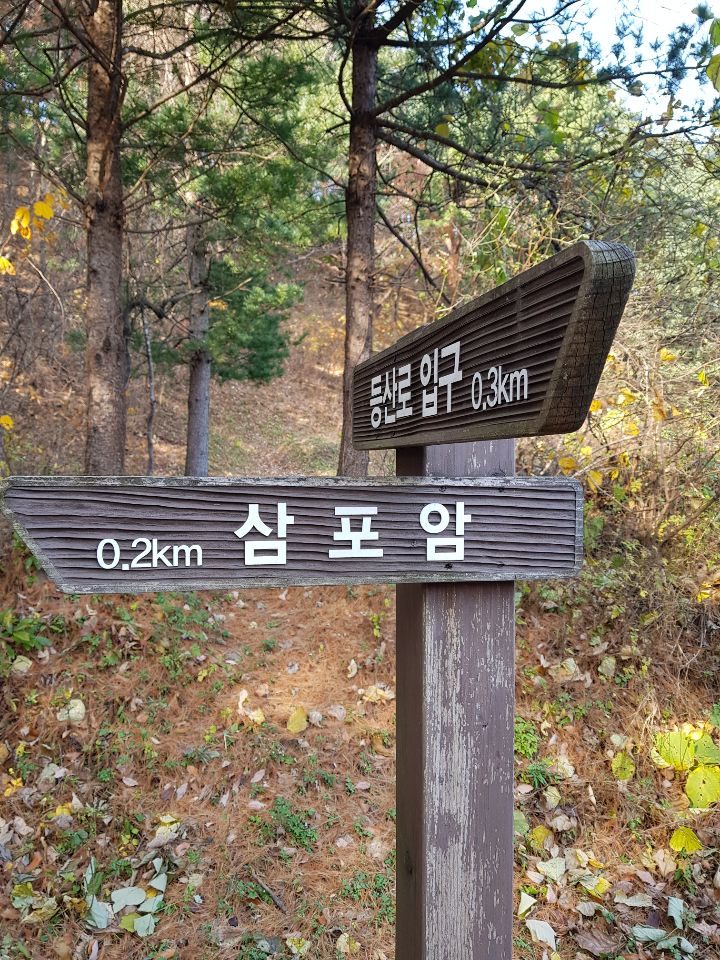 솔내음 캠핑장 이미지