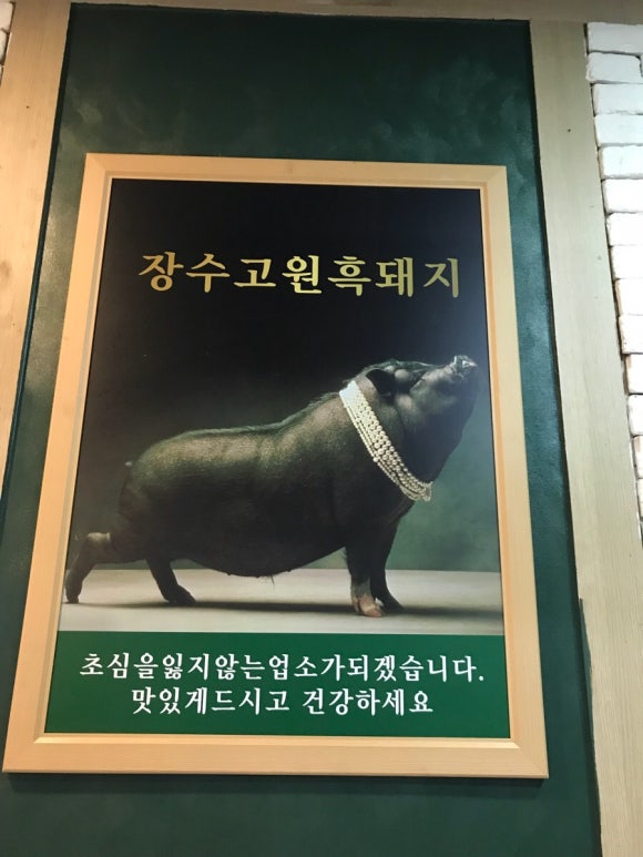 장수고원흑돼지 이미지