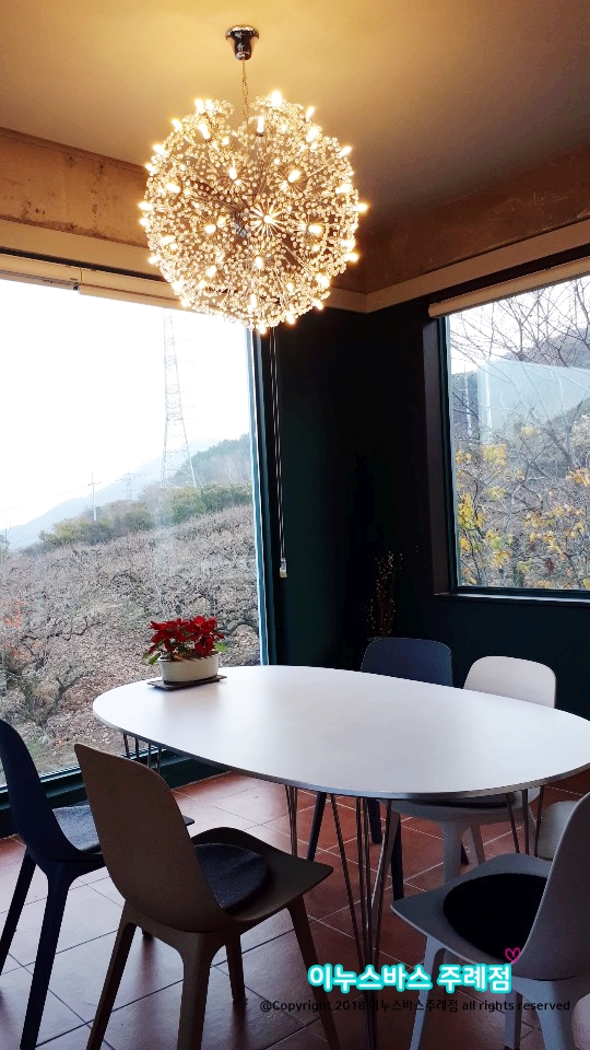 티가렛바이지노 이미지