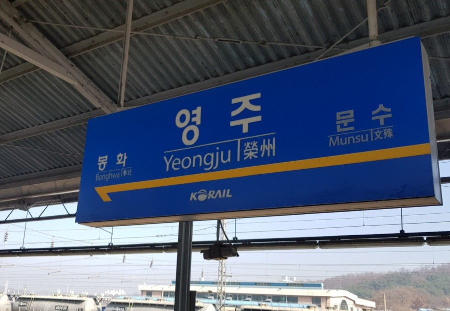 영주해물손칼국수 이미지