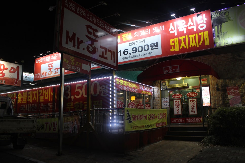 미스터뚱 이미지