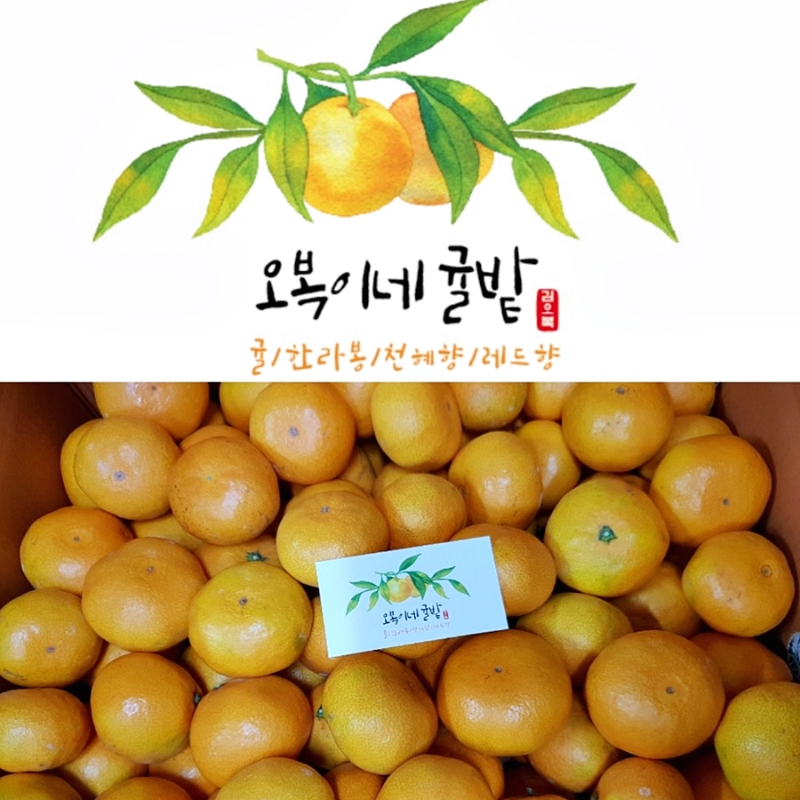오복이네 이미지
