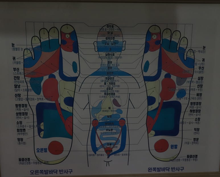 발로니아 이미지