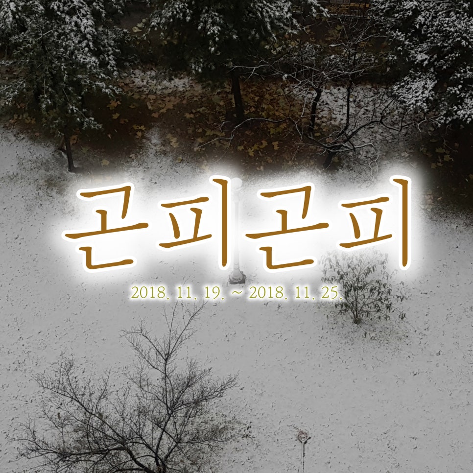 (주)곤 이미지