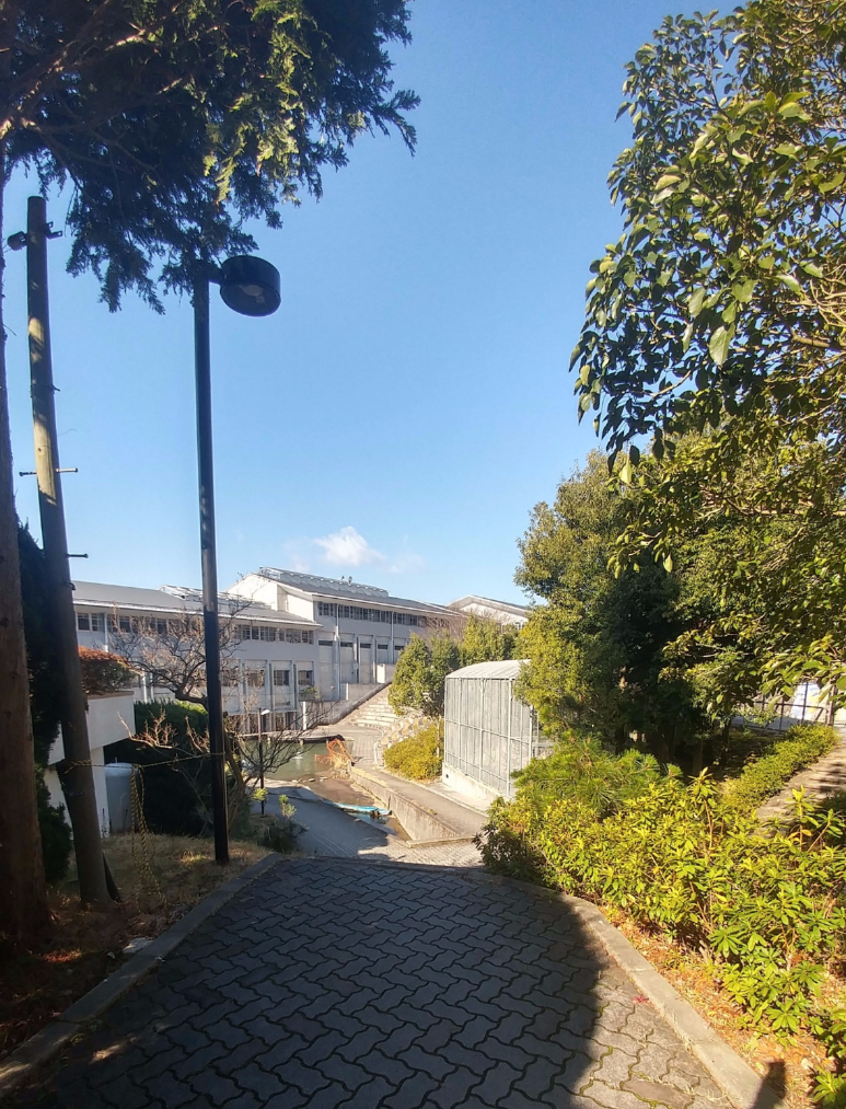 2019학년도 교토세이카대학 합격자 발표 -씨존 12명합격(스토리/애니과/신세대 1등) : 네이버 블로그
